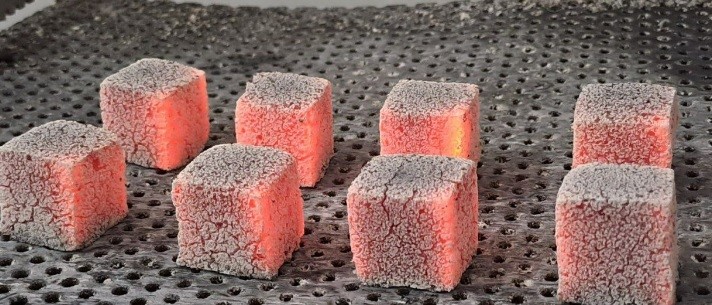 briket dari limbah organik