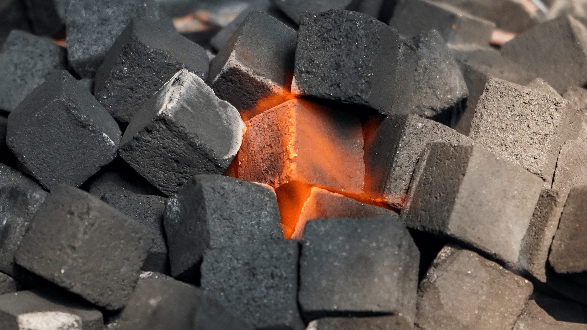 manfaat briket arang