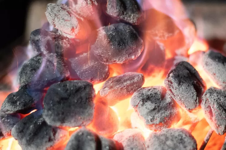 Cara Membuat Briket dari Sampah Organik