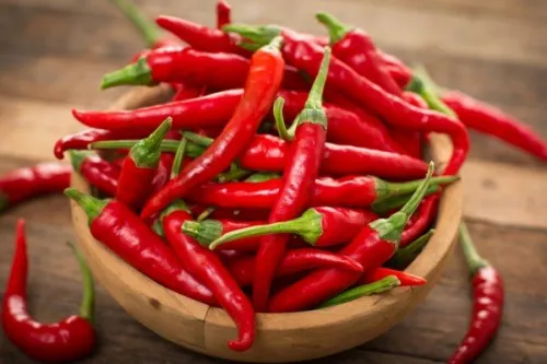 jenis jenis cabai Indonesia