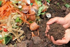 proses pengomposan cepat