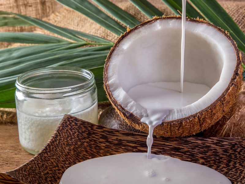 Kelebihan Santan Segar