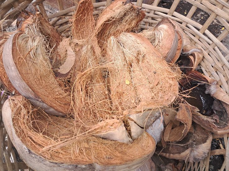 Modal usaha sabut kelapa