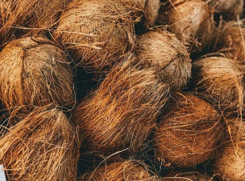 Keuntungan bisnis sabut kelapa