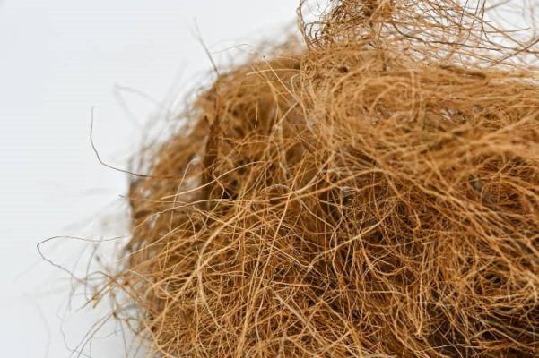 Sabut kelapa untuk bisnis tekstil