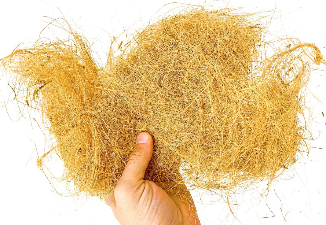 faktor keberhasilan bisnis sabut kelapa