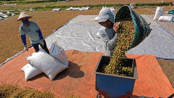 Bisnis Selep Kopi Hitam