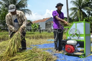 mesin pertanian sederhana Mesin Perontok Padi Mini