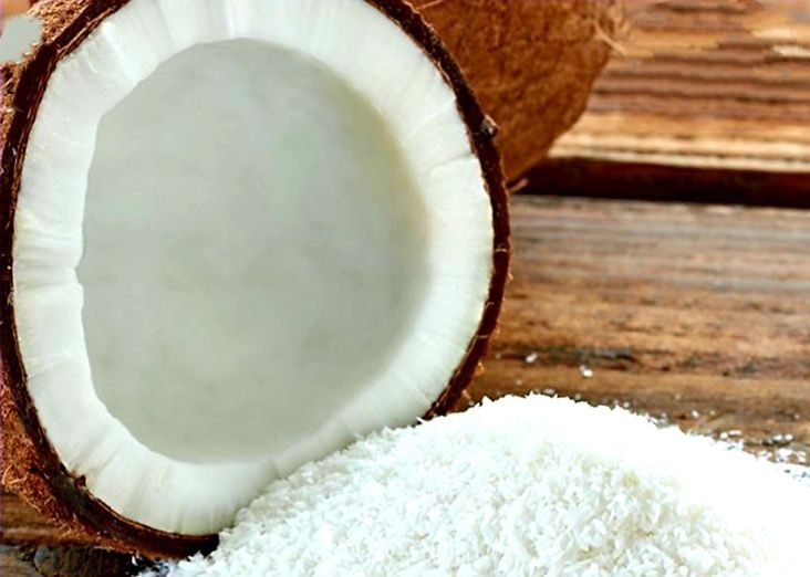 Modal Usaha Parut kelapa Rumahan