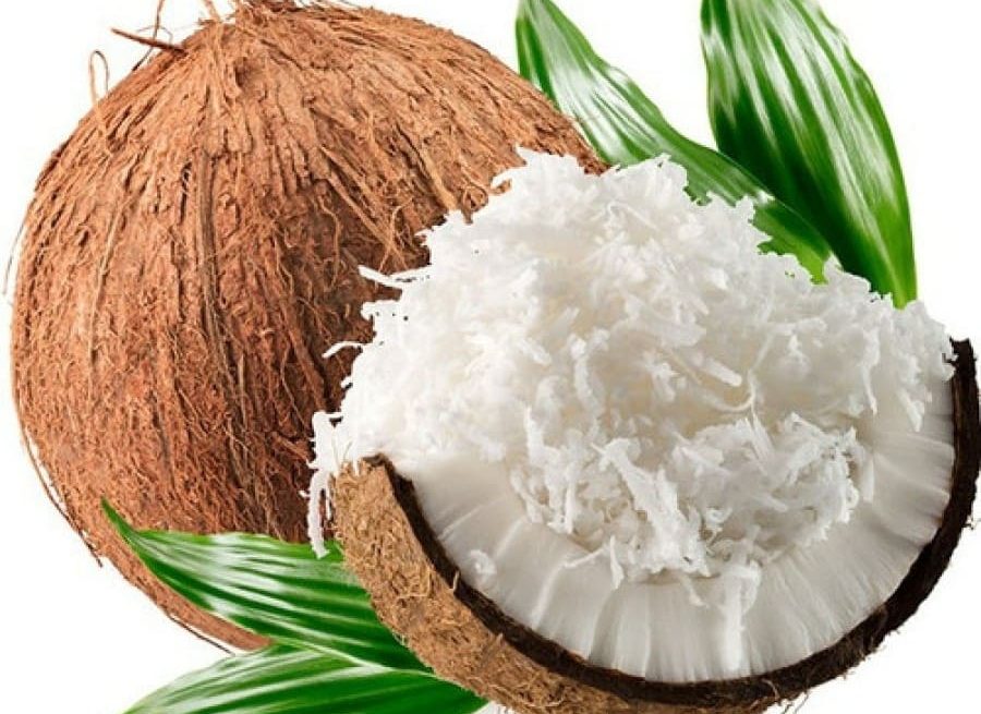 Modal Usaha Parut Kelapa Rumahan