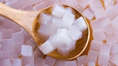 keuntungan usaha nata de coco