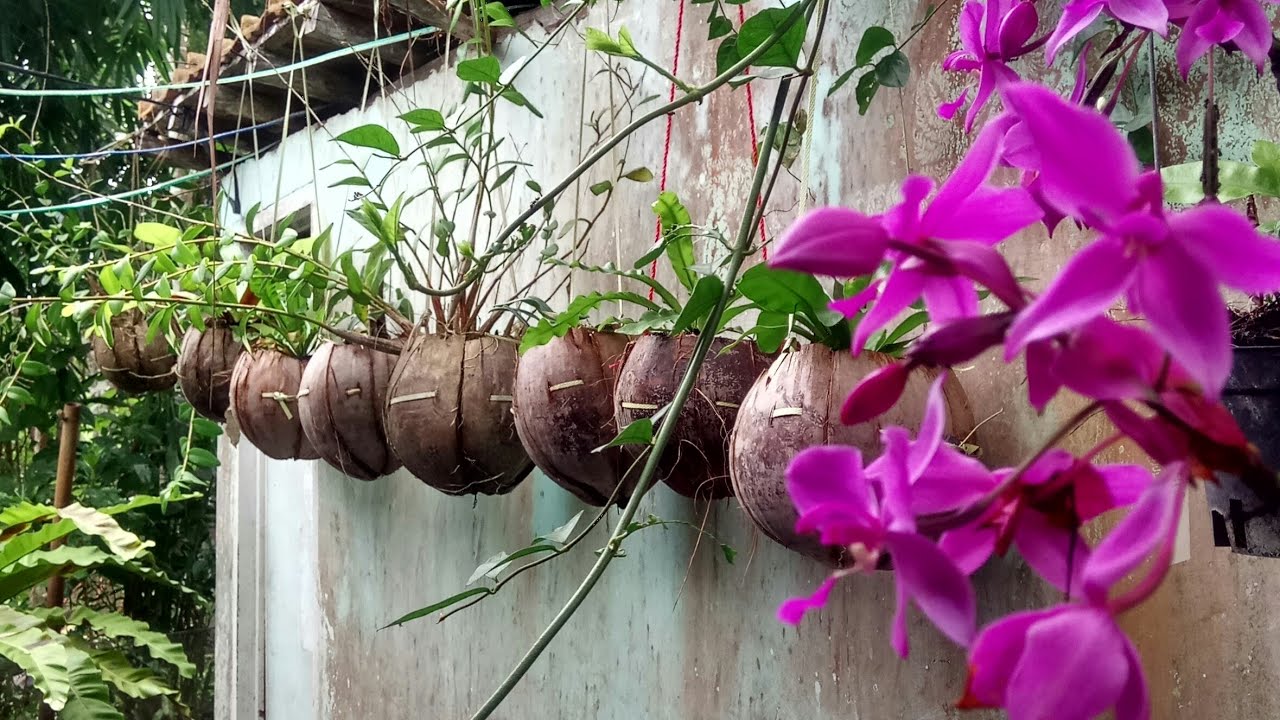 Pot Gantung Sabut Kelapa untuk Tanaman Hias