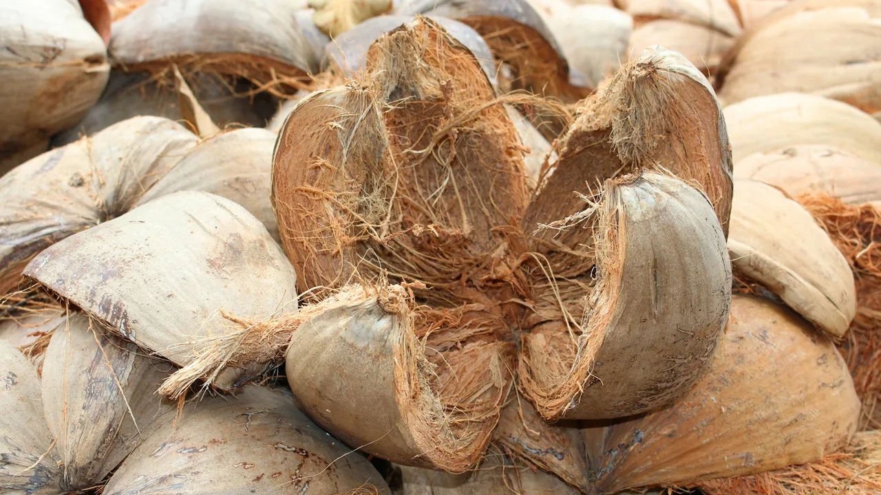 pembuatan anyaman sabut kelapa