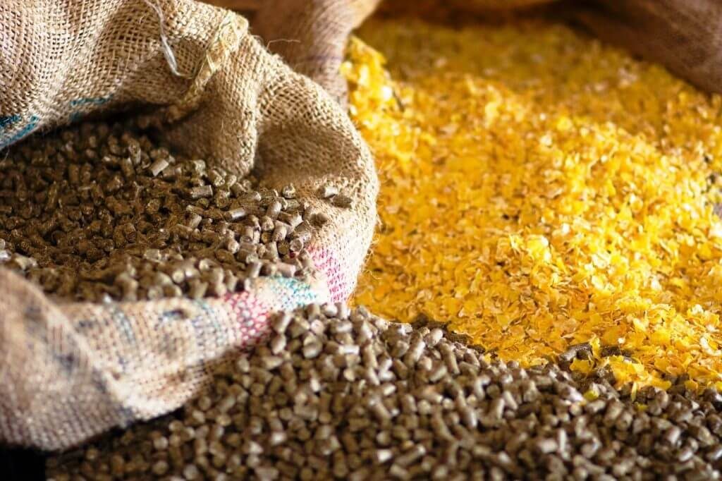 pakan ternak sumber energi