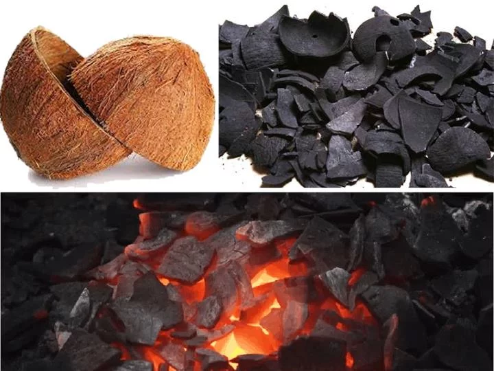 coconut charcoal business plan showing production flow and market strategy