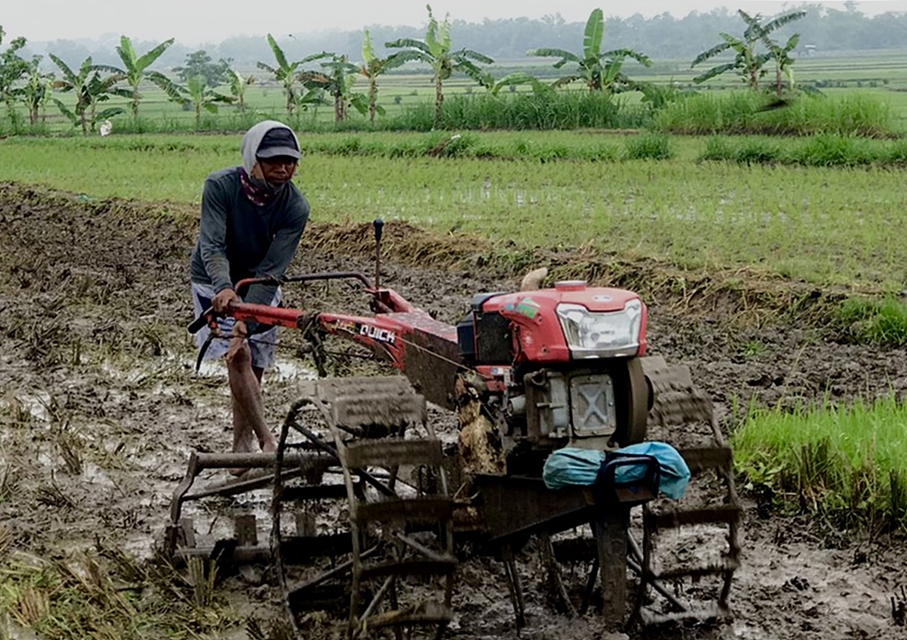 alat olah tanah sawah