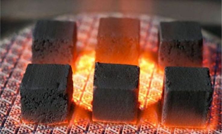 coconut briquette supplier indonesia