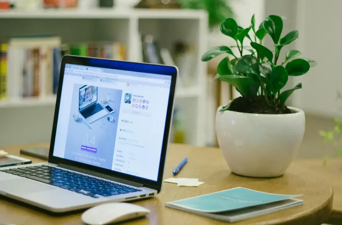 panduan membangun website usaha