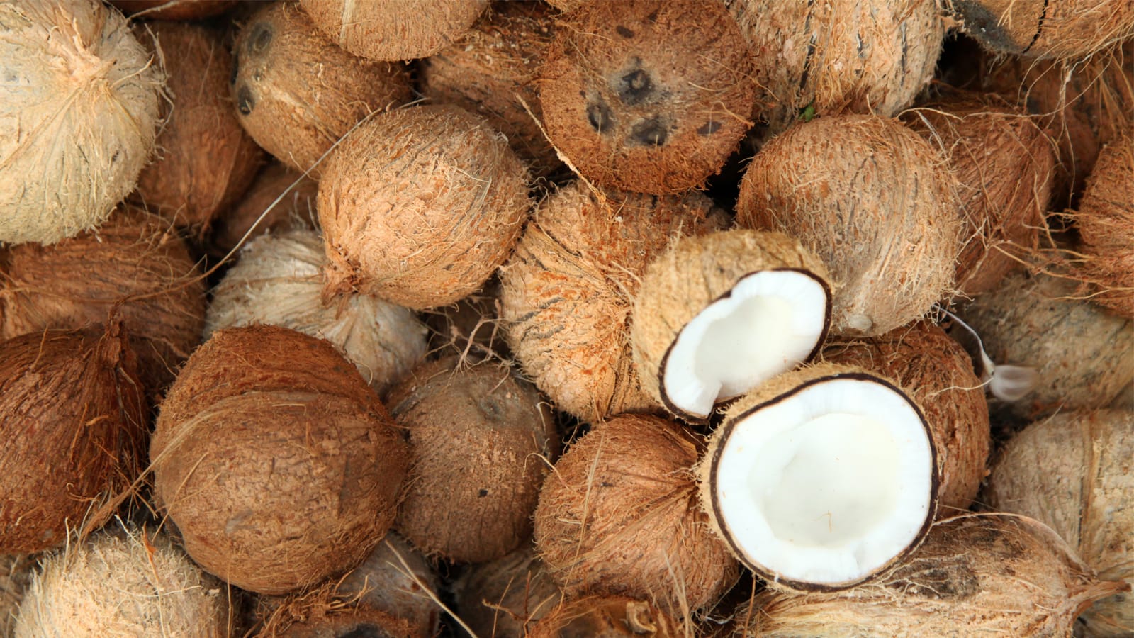 Cara Memarut Kelapa Cepat