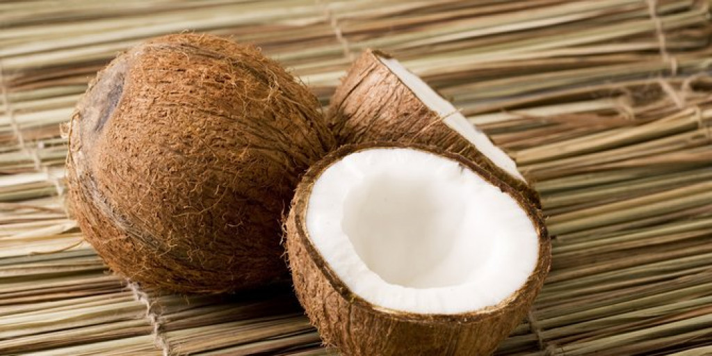 Mesin Parut Kelapa Kapasitas Besar