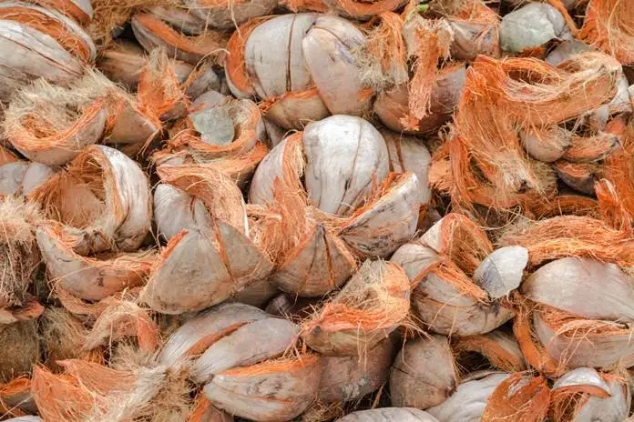 Usaha Sabut Kelapa Jadi Produk Jual